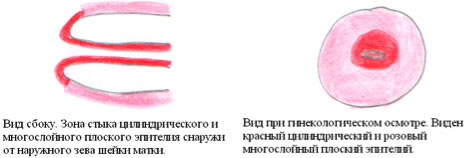 рис.5 рис.5